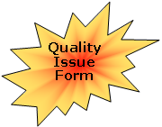 Explosion 2: QualityIssue Form